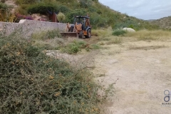 PLATAFORMA_CASAEBERLE-6