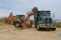 PLATAFORMA_CASAEBERLE-7